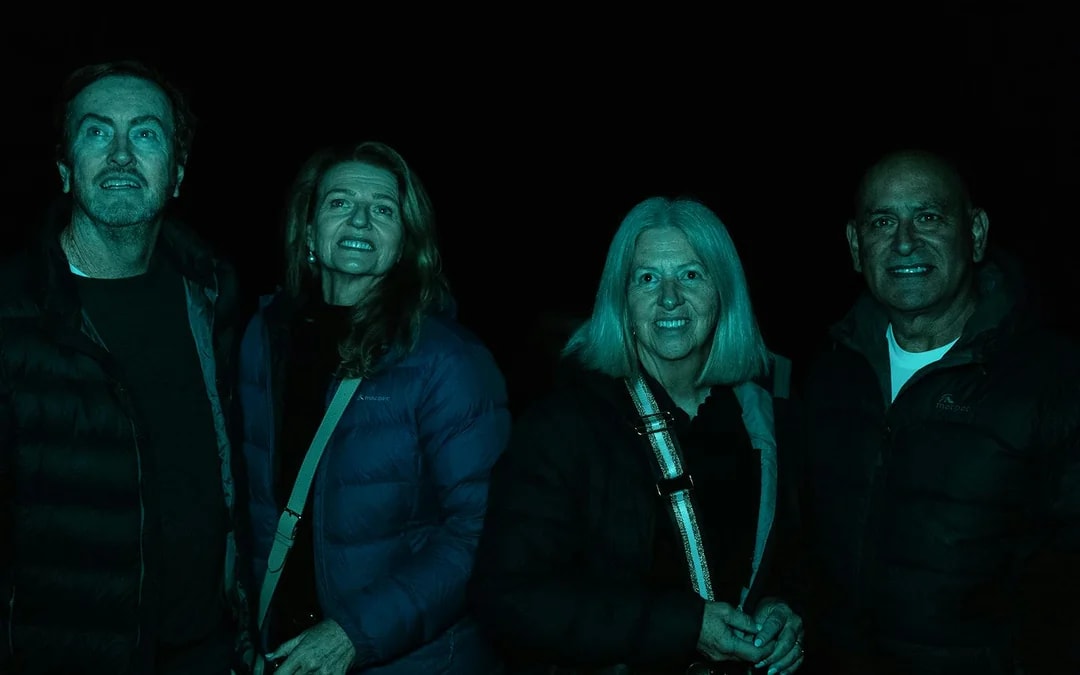 Gold Coast: Mt Tamborine Rainforest Night Walk with Glow Worms & Waterfall Image 6