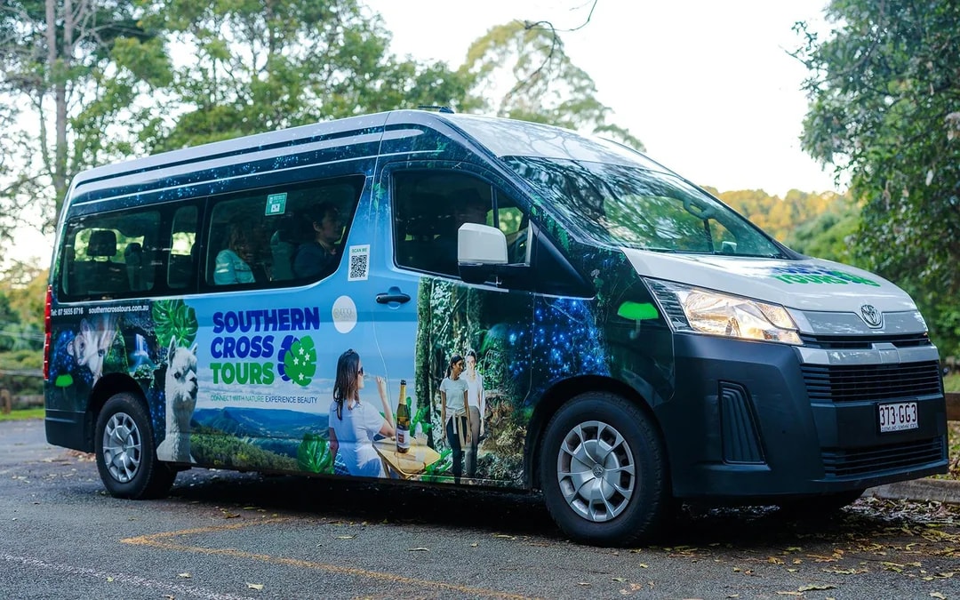Gold Coast: Mt Tamborine Rainforest Night Walk with Glow Worms & Waterfall Image 12
