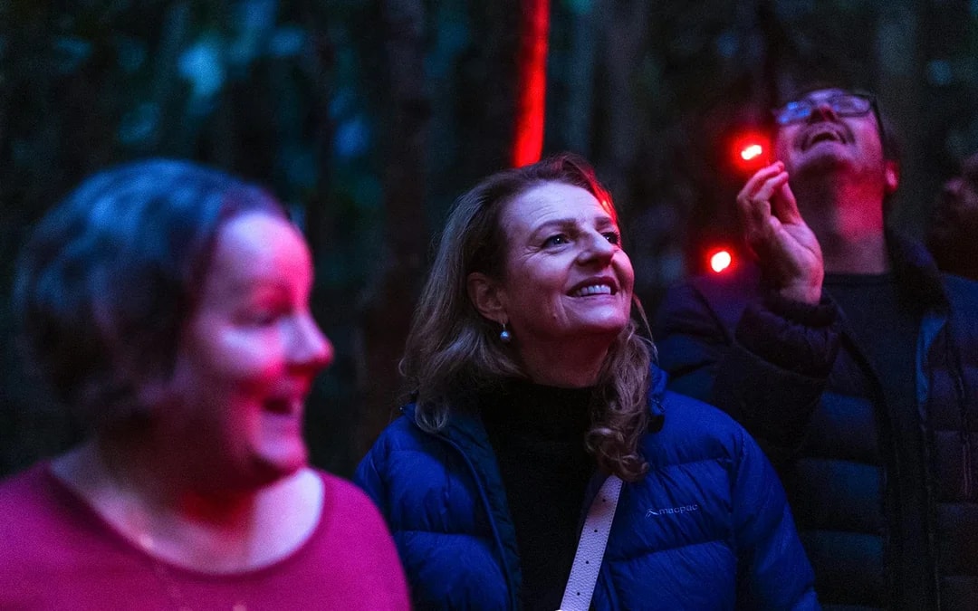 Gold Coast: Mt Tamborine Rainforest Night Walk with Glow Worms & Waterfall Image 2
