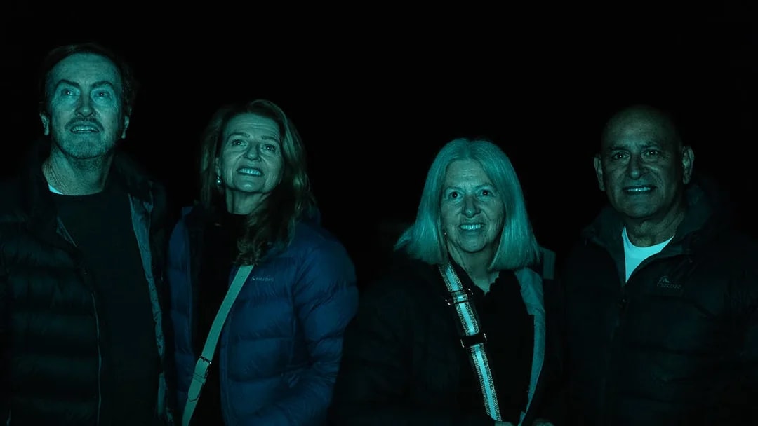 Group enjoying Evening Rainforest & Glow Worm Experience tour.
