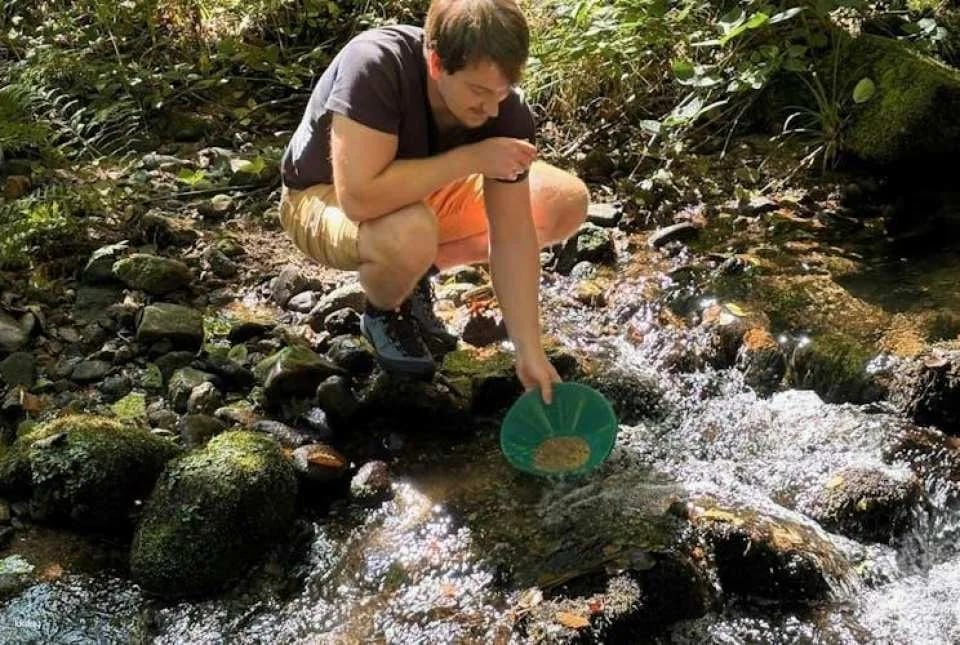 Gold panning adventure in Karlsruhe