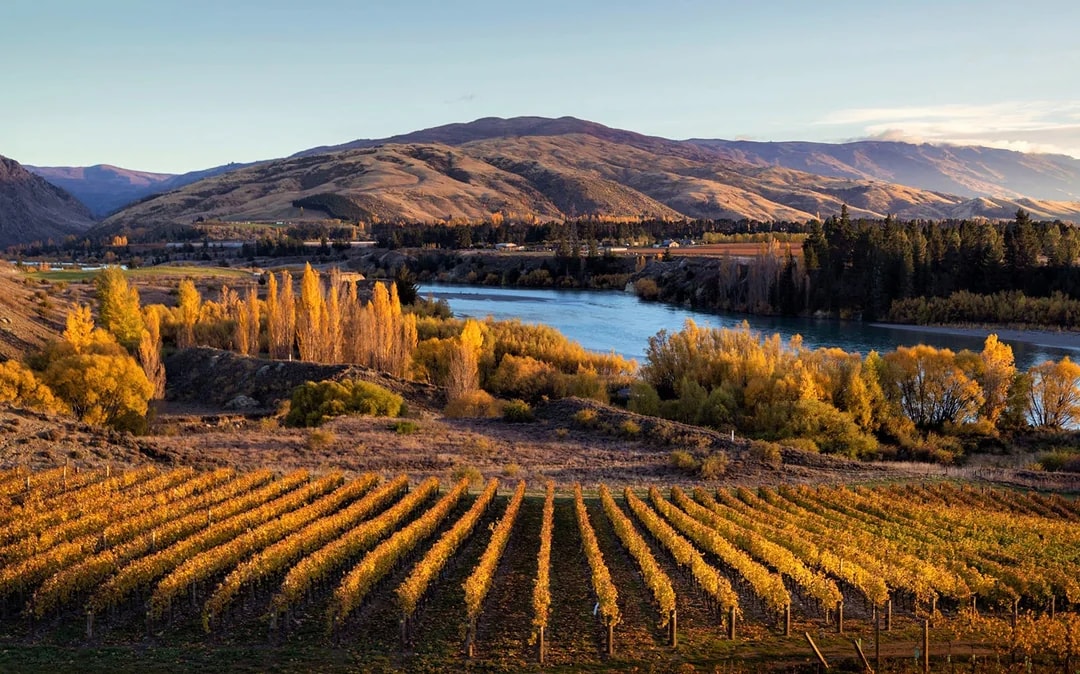 Gourmet Food and Wine Tour From Queenstown Image 8