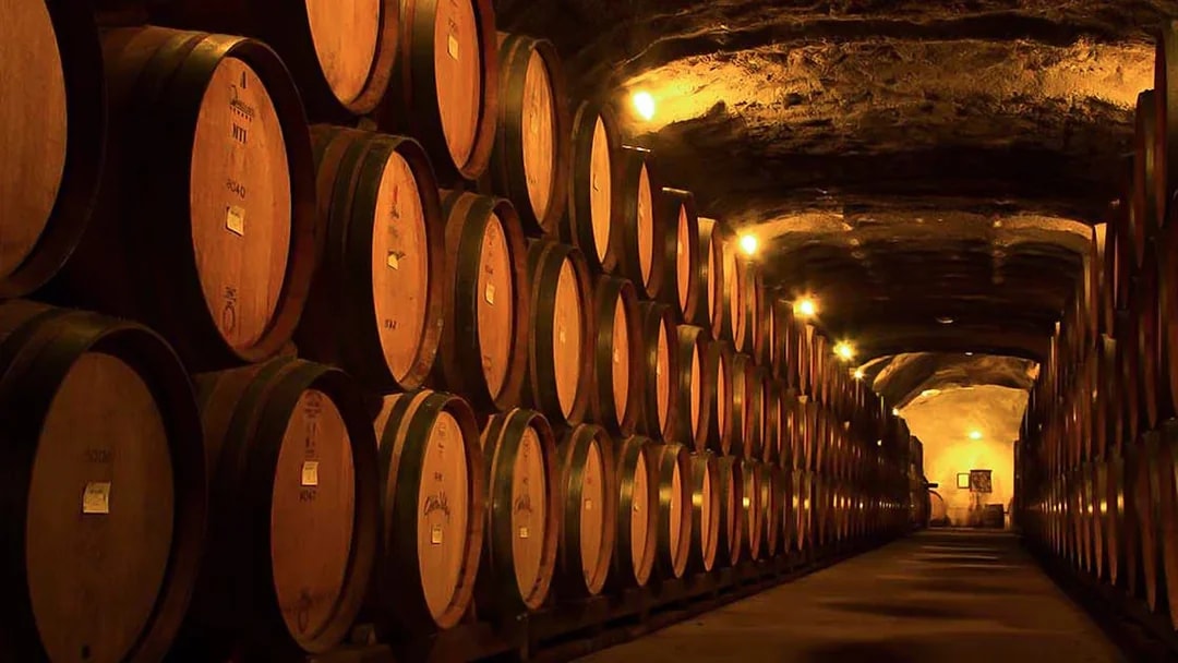 Wine barrels in a dimly lit cellar on a gourmet food and wine tour from Queenstown.