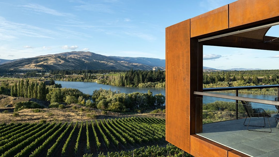 Vineyard view with lake and mountains on a gourmet food and wine tour from Queenstown.