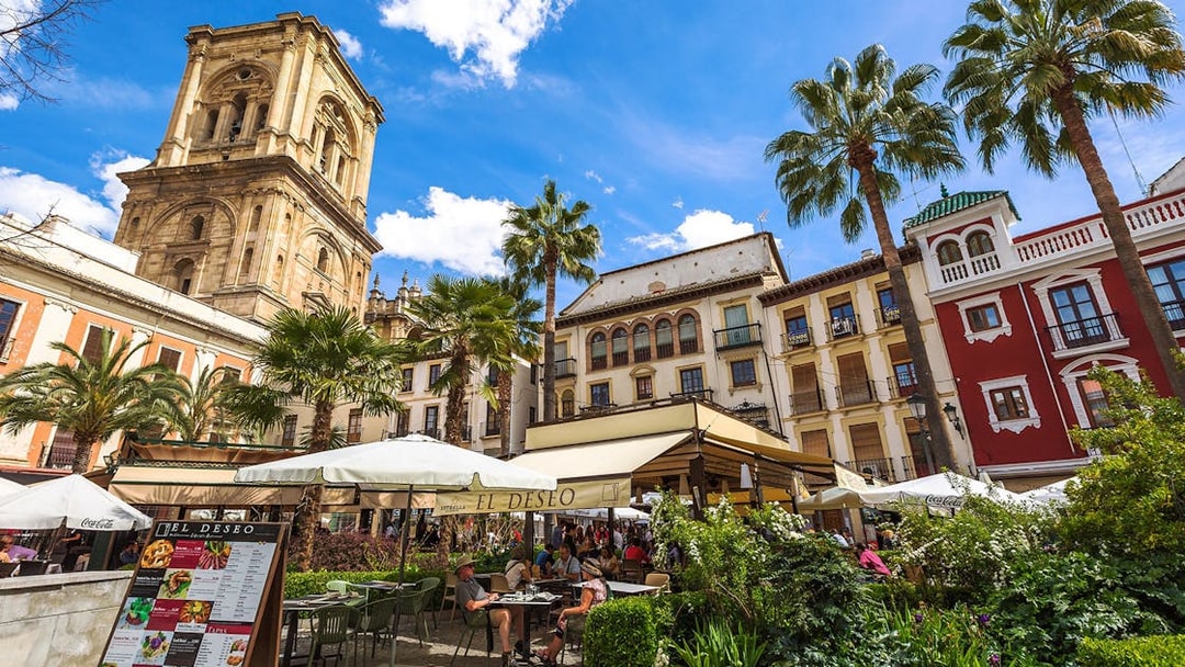 Granada Cathedral tower and nearby plaza with outdoor café and palm trees.