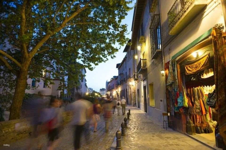 Granada Cathedral, Royal Chapel, Albaicín and Sacromonte guided tour