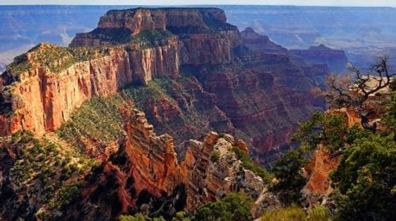 Grand Canyon National Park South Rim Tour with Lunch from Las Vegas Day Tours