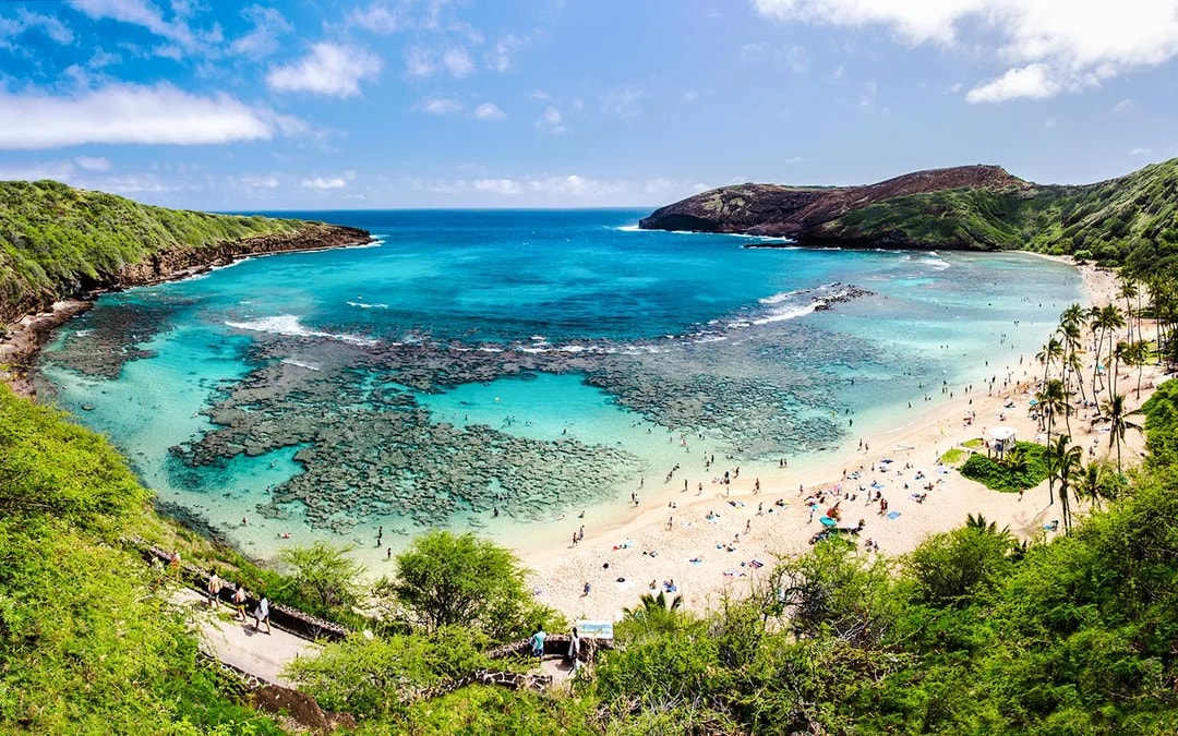 Grand Circle Island Oahu & Haleiwa Full-Day Tour Image 2