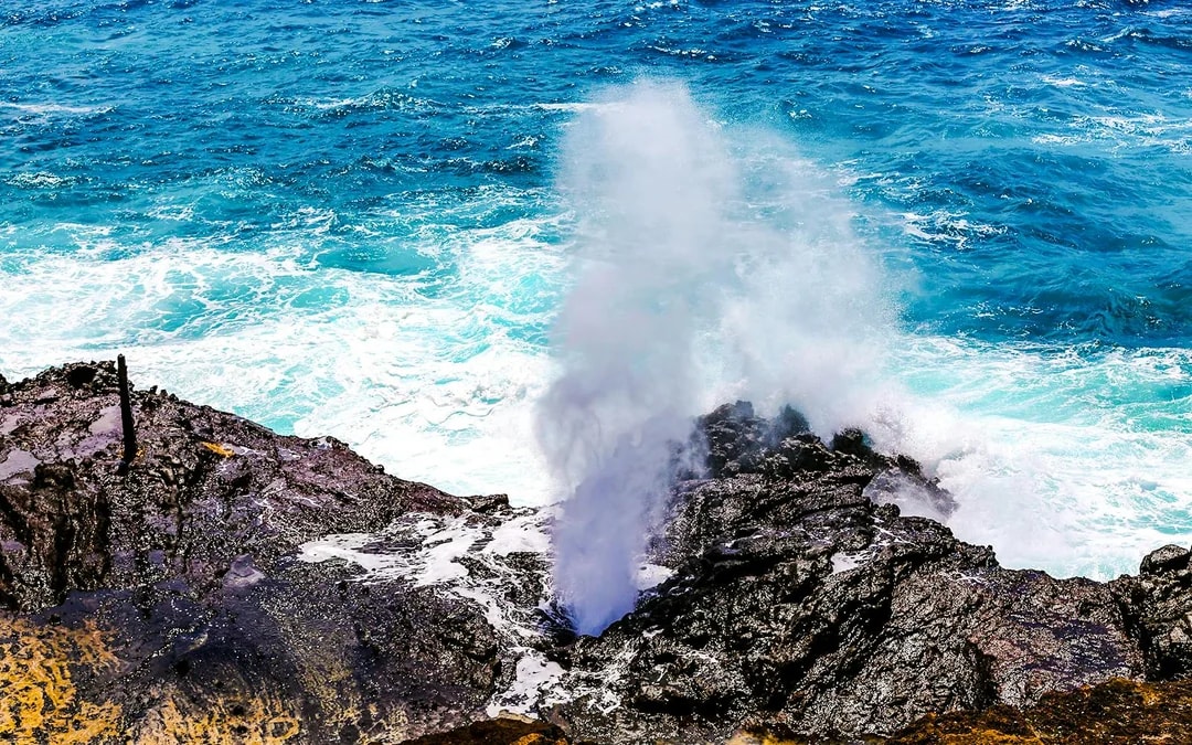 Grand Circle Island Oahu & Haleiwa Full-Day Tour Image 7