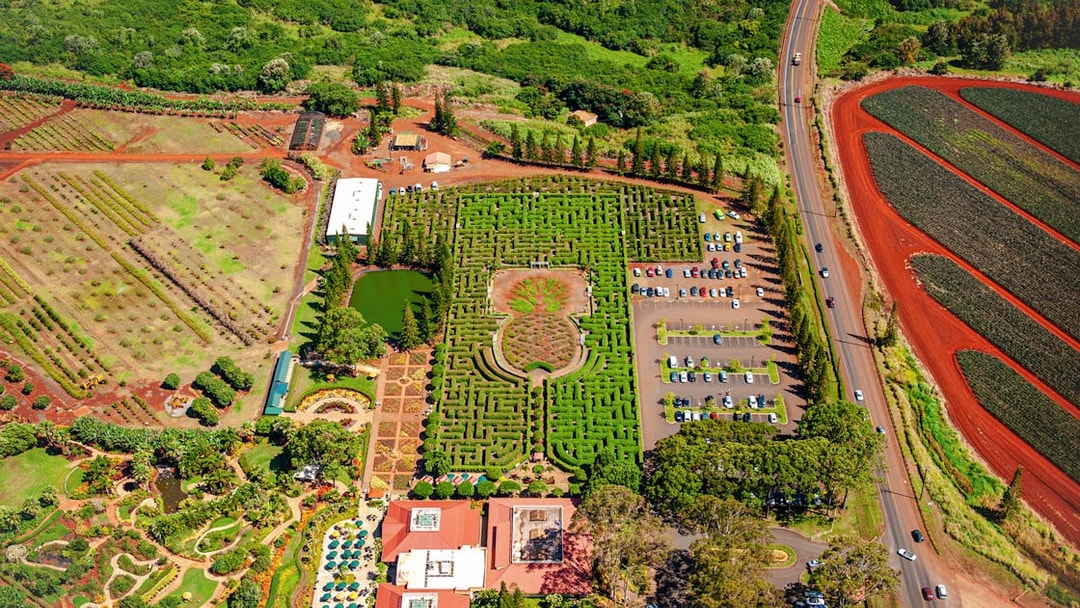 Aerial view of Dole Plantation maze and gardens, Oahu, Hawaii.