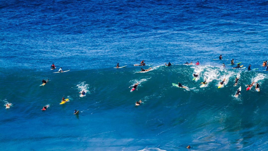 Surfers riding waves at Waimea Bay on Oahu's North Shore, Hawaii.