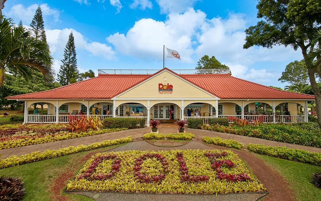 Haleiwa & Dole Plantation Express Half-Day Tour Image 1