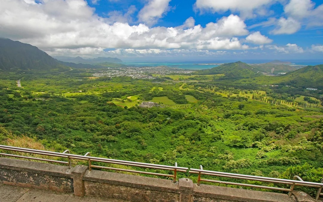 Haleiwa & Dole Plantation Express Half-Day Tour Image 10