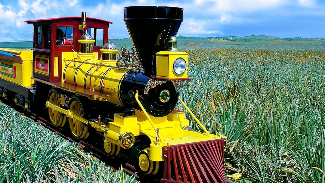 Train traveling through pineapple fields in Oahu, Hawaii.