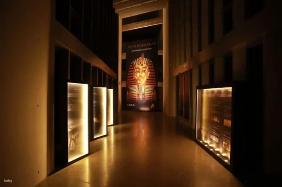 Grand Egyptian Museum Ticket | Egypt