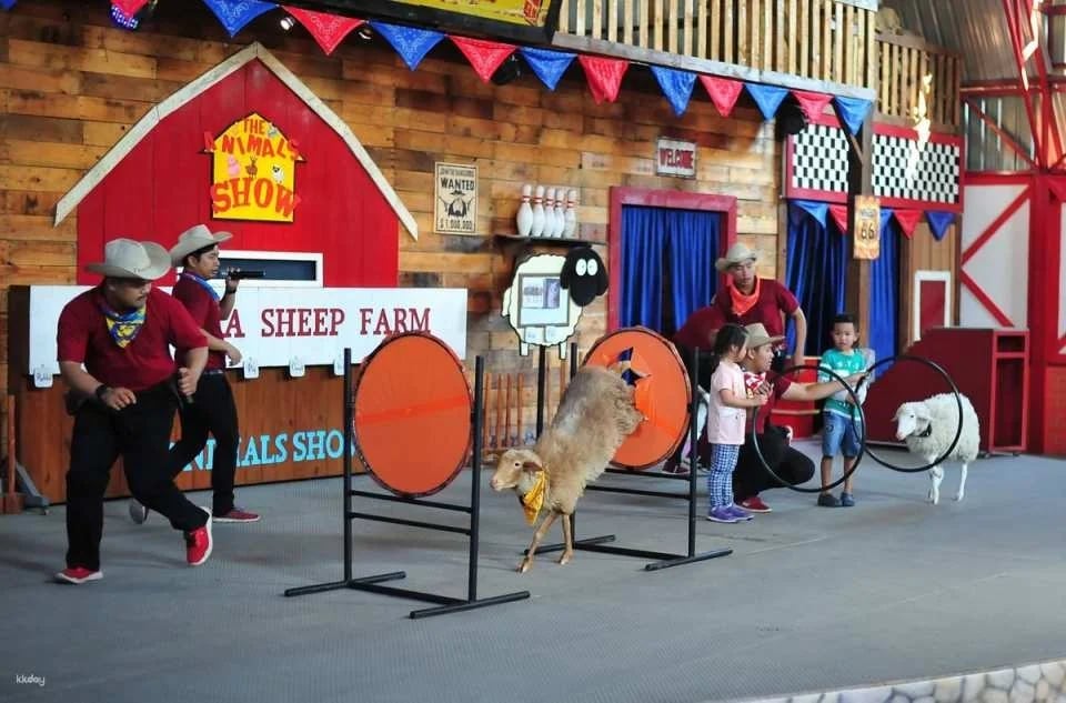 Great & Grand Sweet Destination and Pattaya Sheep Farm Tickets | Thailand