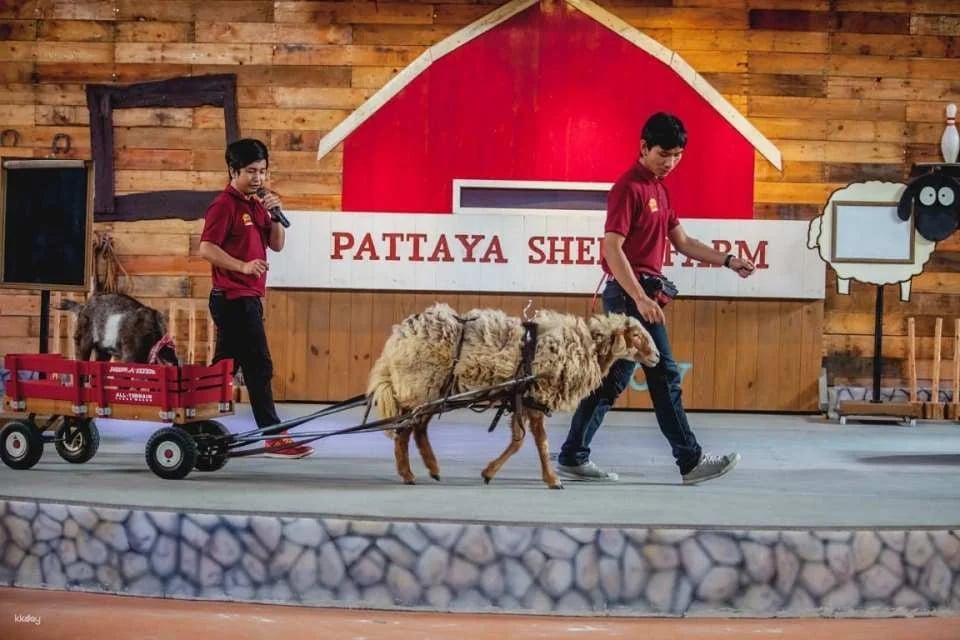 Great & Grand Sweet Destination and Pattaya Sheep Farm Tickets | Thailand