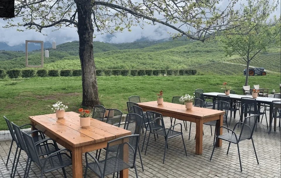Greece Thessaloniki Winetasting Tour
