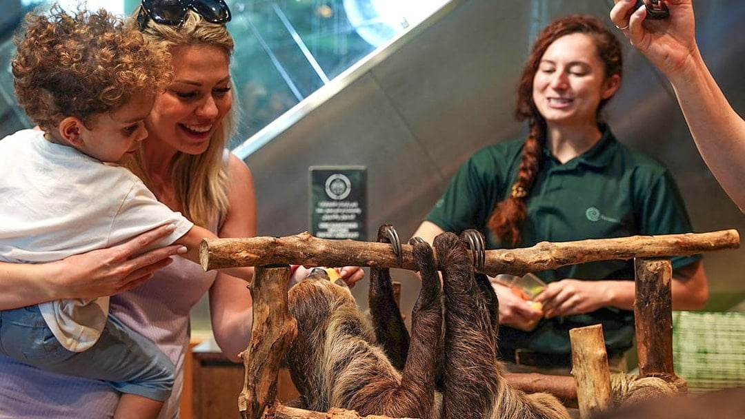 Visitors exploring the lush and vibrant indoor rainforest at Green Planet Dubai, a unique eco-tourism attraction offering tickets for an immersive wildlife experience.