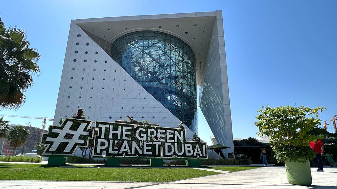 Visitors exploring indoor rainforest at Green Planet Dubai, surrounded by diverse plant life and wildlife.
