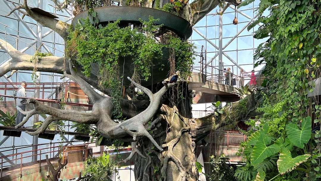 Visitors exploring lush greenery at Green Planet Dubai indoor rainforest.