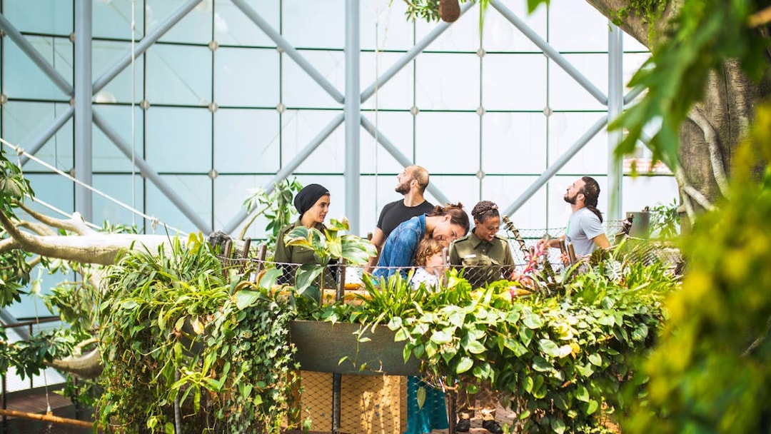 Green Planet Dubai indoor rainforest with lush vegetation and exotic wildlife.