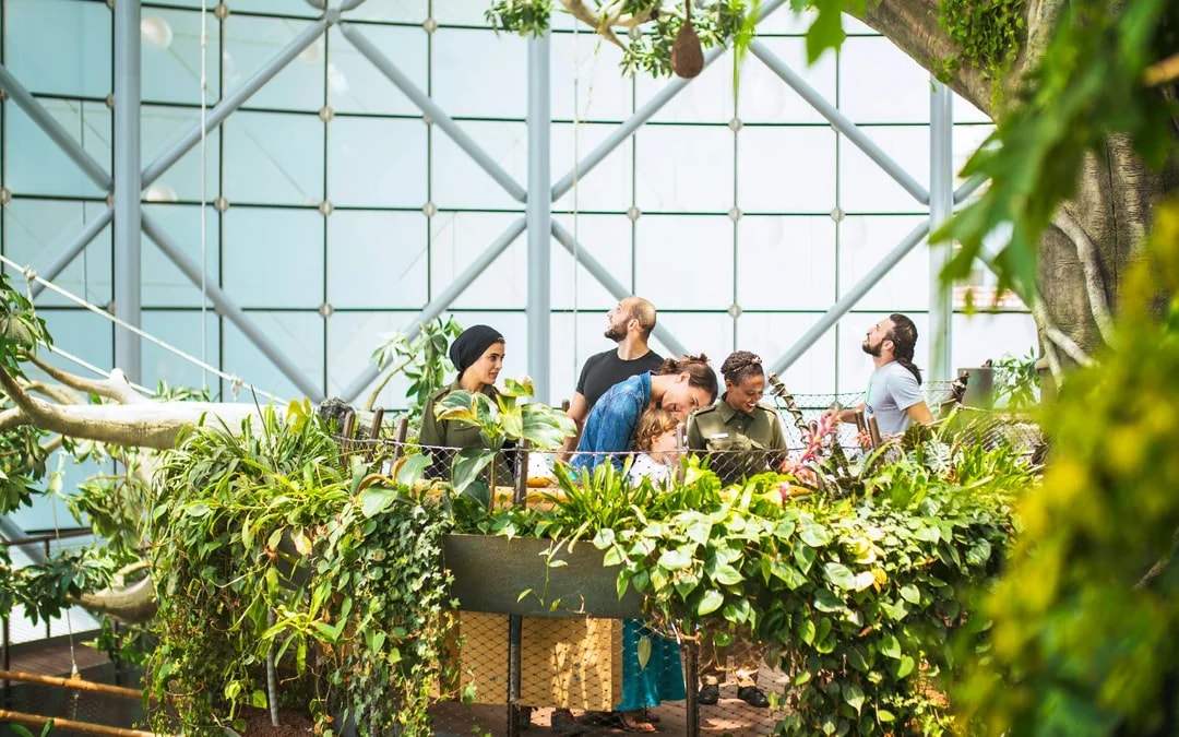 Green Planet Dubai Tickets Image 8