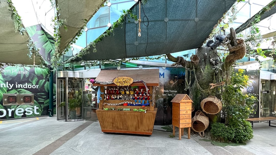 Visitors exploring the lush and vibrant indoor rainforest at Green Planet Dubai, a unique eco-tourism attraction offering exclusive tickets for an immersive experience