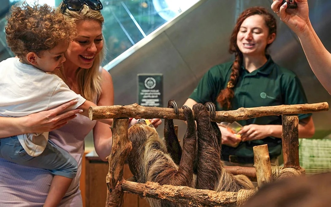 Green Planet Dubai Tickets Image 1