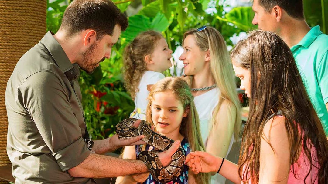 Family interacting with a snake at Green Planet Dubai.