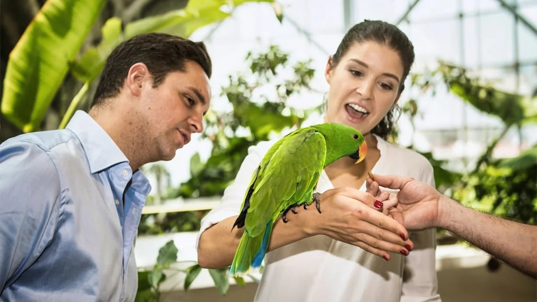 Visitors feeding a parrot in tropical rainforest at Green Planet Dubai.