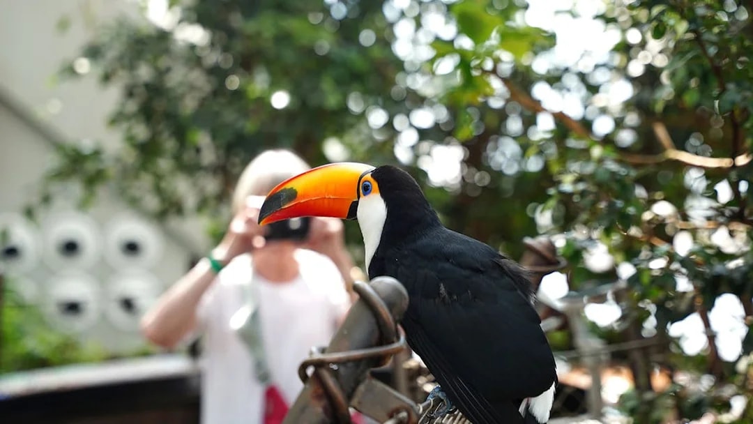 Visitors walking through Green Planet Dubai's indoor rainforest surrounded by lush greenery.
