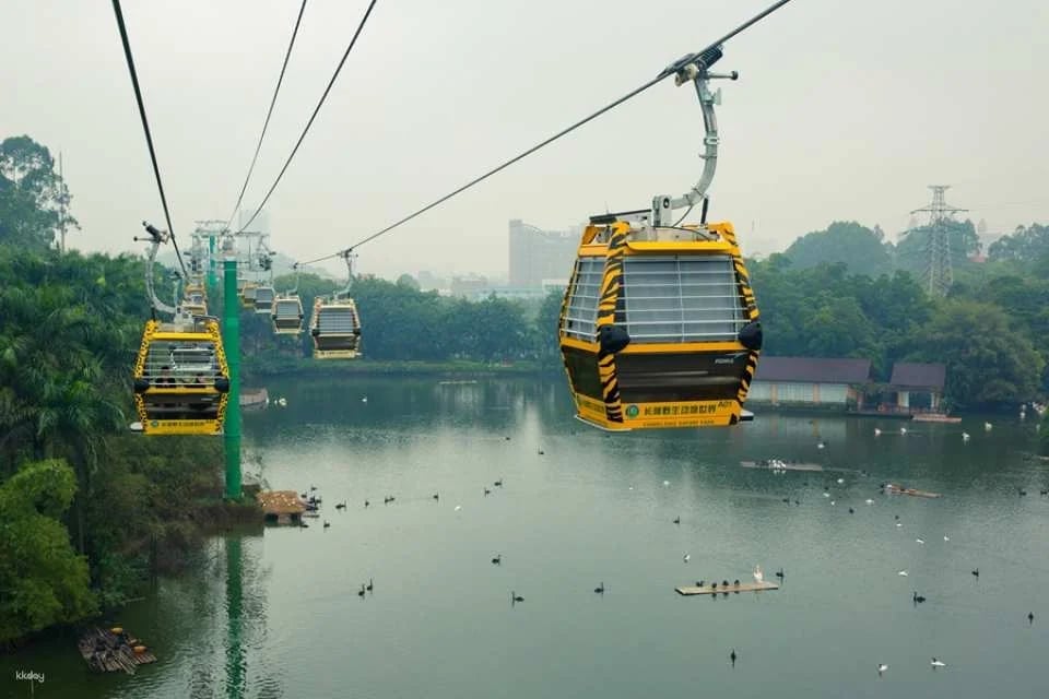 Guangzhou Chimelong Safari Park Ticket | Exclusive Offer with FREE AIRSIM Global Data SIM Card