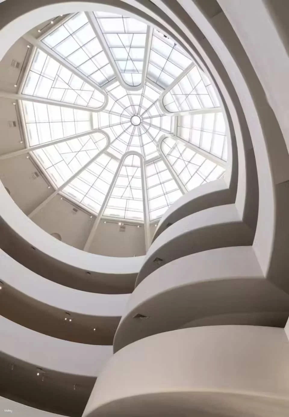 Guggenheim Museum Ticket | New York