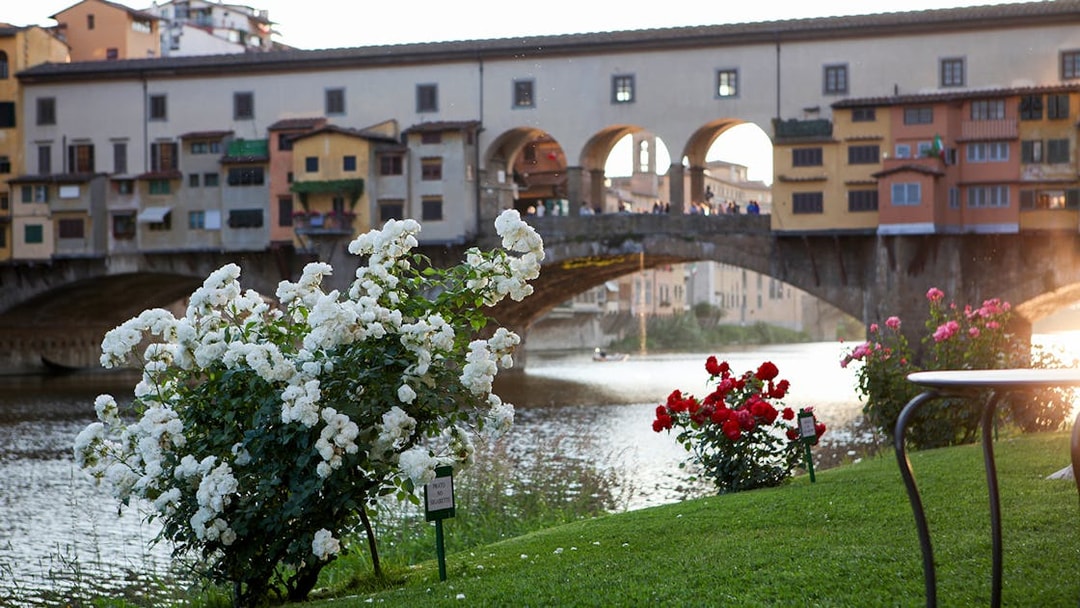 Florence's Ponte Vecchio with gondola on the Arno River, viewed from a garden.