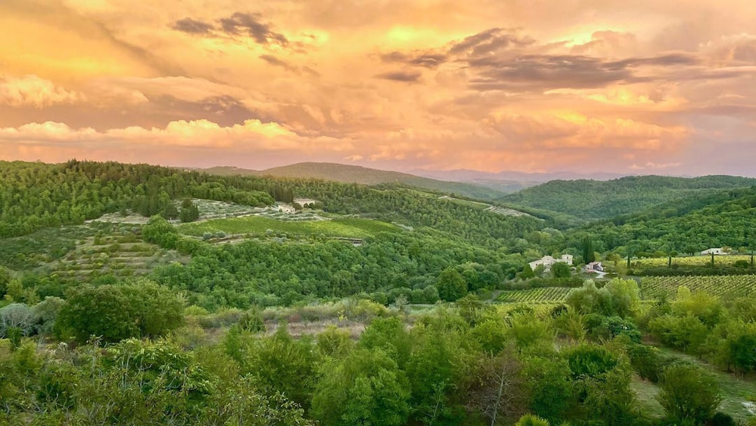 Chianti countryside at sunset with vineyards and rolling hills, Italy.