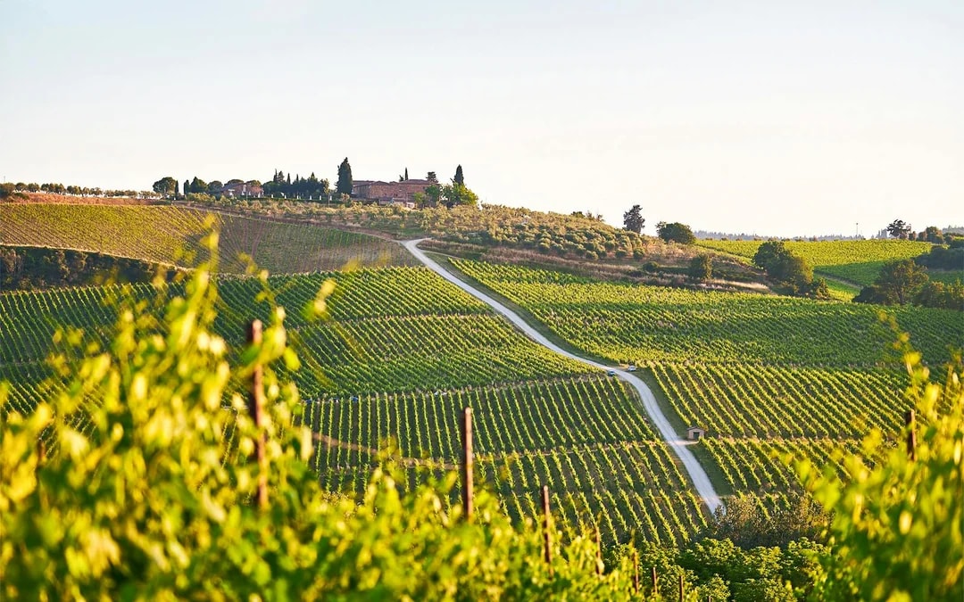 Guided E-Bike Rental in Chianti with Dinner Image 2