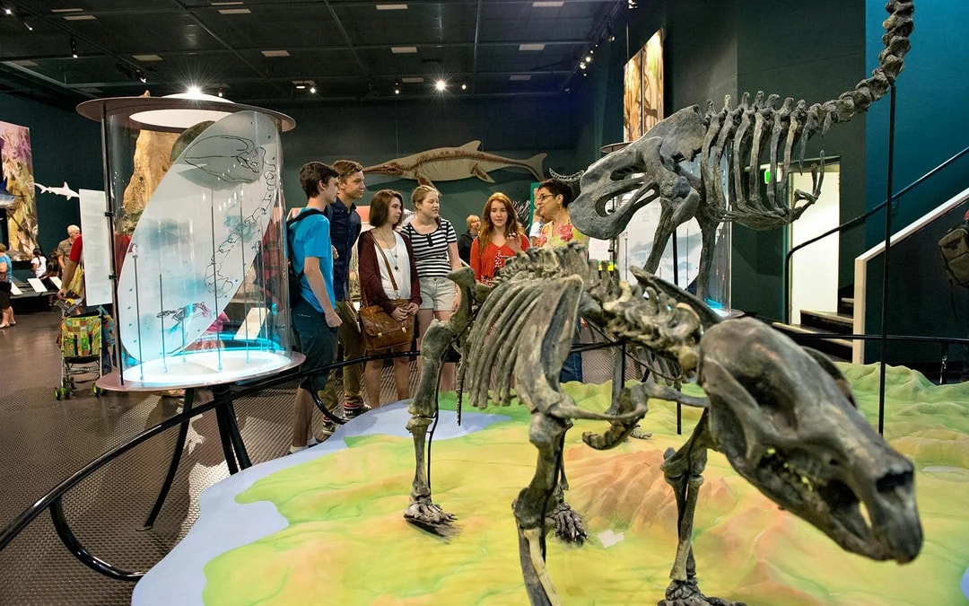 Guided Half-Day City Tour of Darwin Image 6
