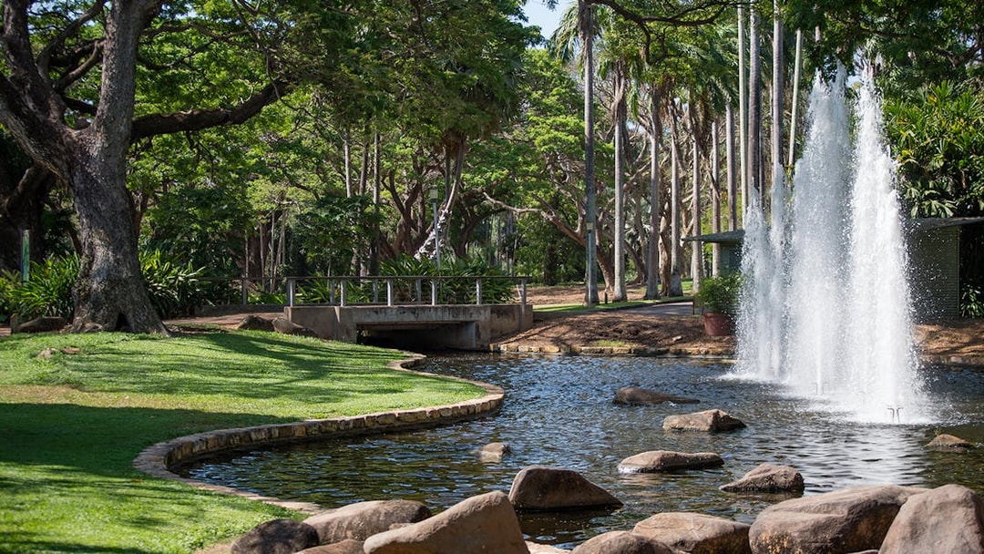 Fountain and lush greenery in a park during a guided half-day city tour of Darwin.