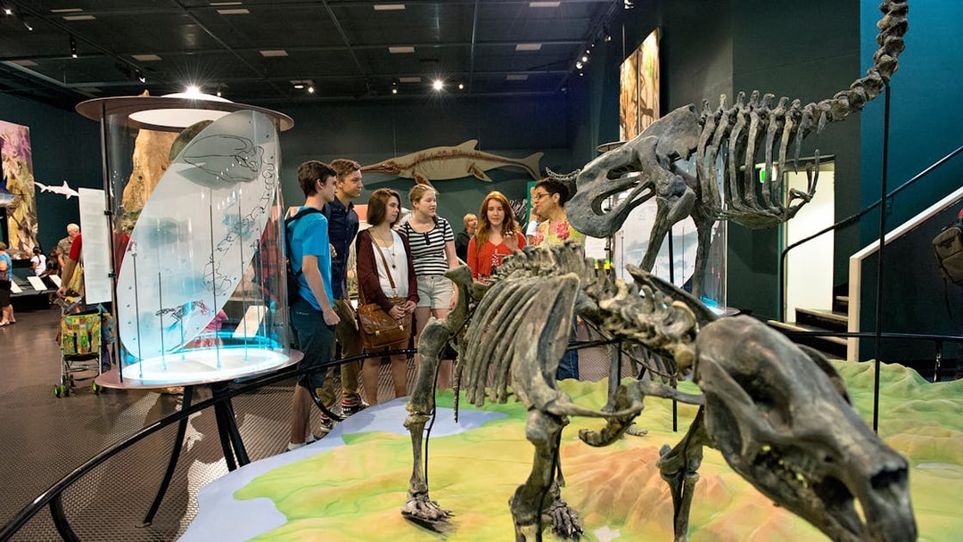 Group touring dinosaur exhibit at museum in Darwin.