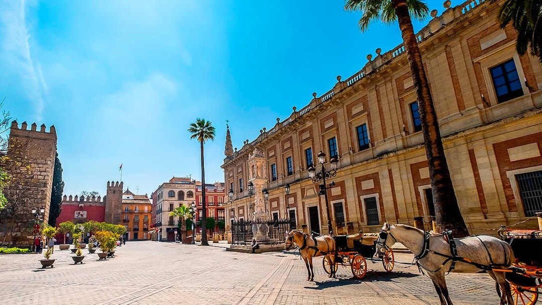 Horse-drawn carriages in front of historic building on a sunny street in Seville.