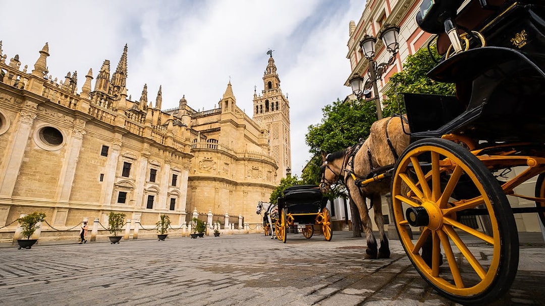 Seville Cathedral and horse-drawn carriage on a guided walking tour.