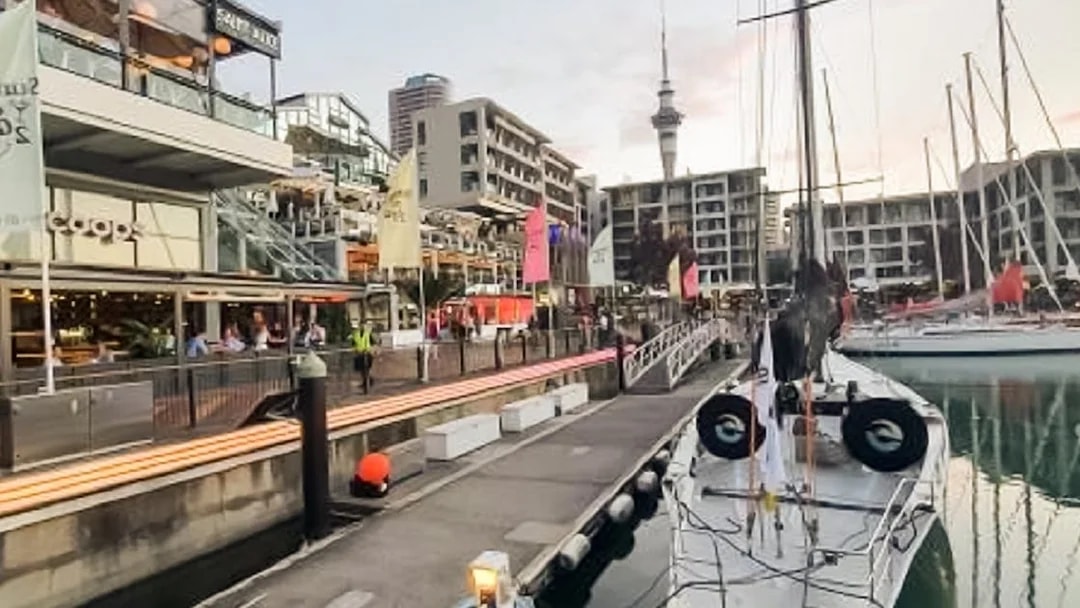 Auckland waterfront with boats and Sky Tower in the background during a guided walking tour.