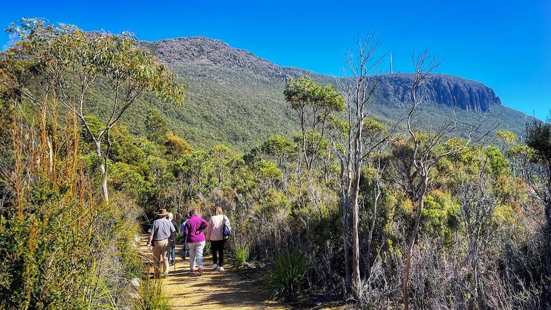 Group hiking on a trail with Mt Wellington in the background, Tasmania.