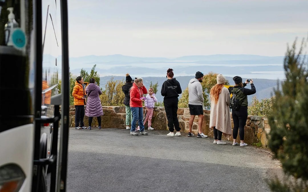 Guided Tour of Mt Wellington Image 5