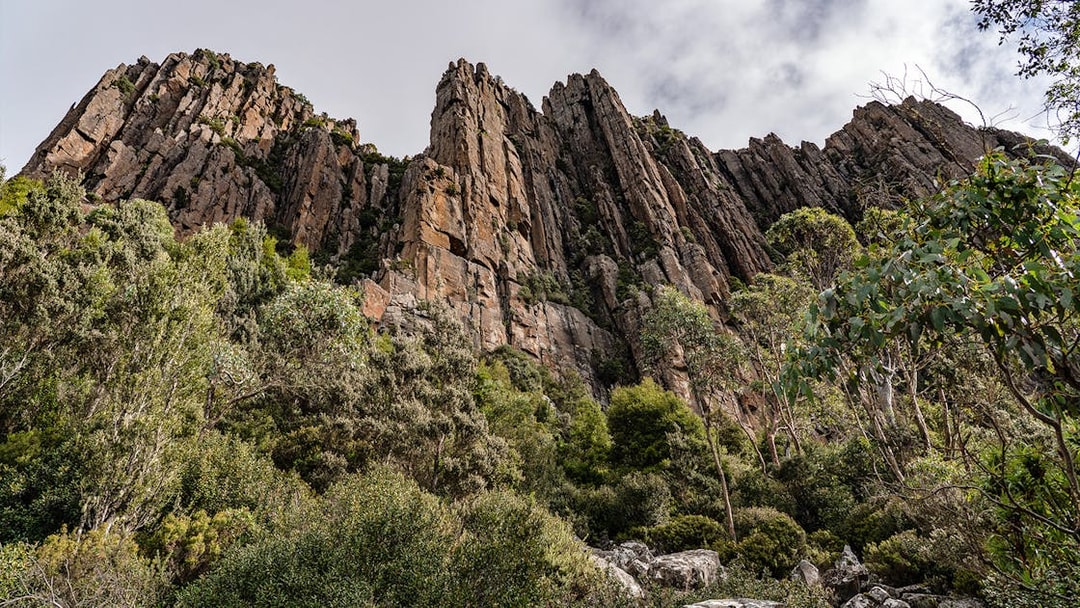 Rocky cliffs and lush greenery on Mt Wellington guided tour.