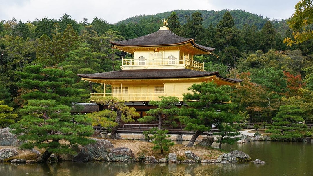Guided Tour of Nijo Castle And Kinkaku-Ji Temple