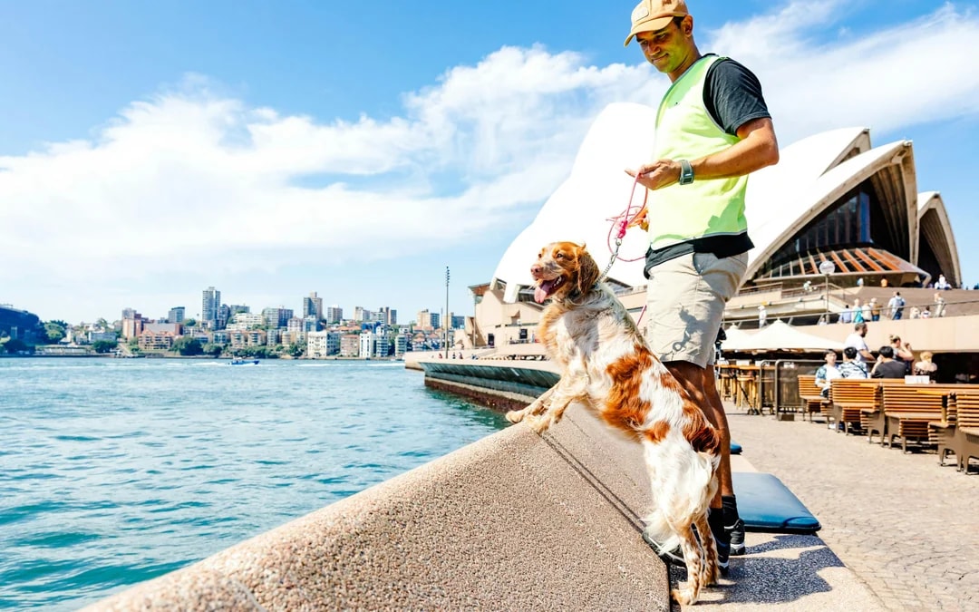 Guided Tour of Sydney Opera House in Multiple Languages with Meal & Drink Image 5