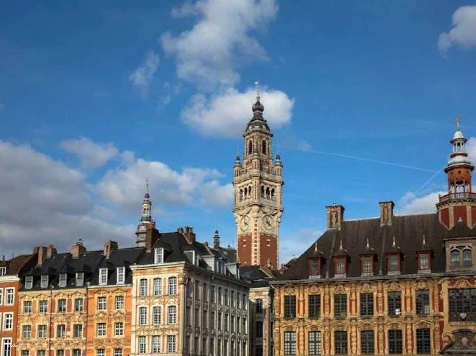 Guided tour to discover Lille accompanied by a local