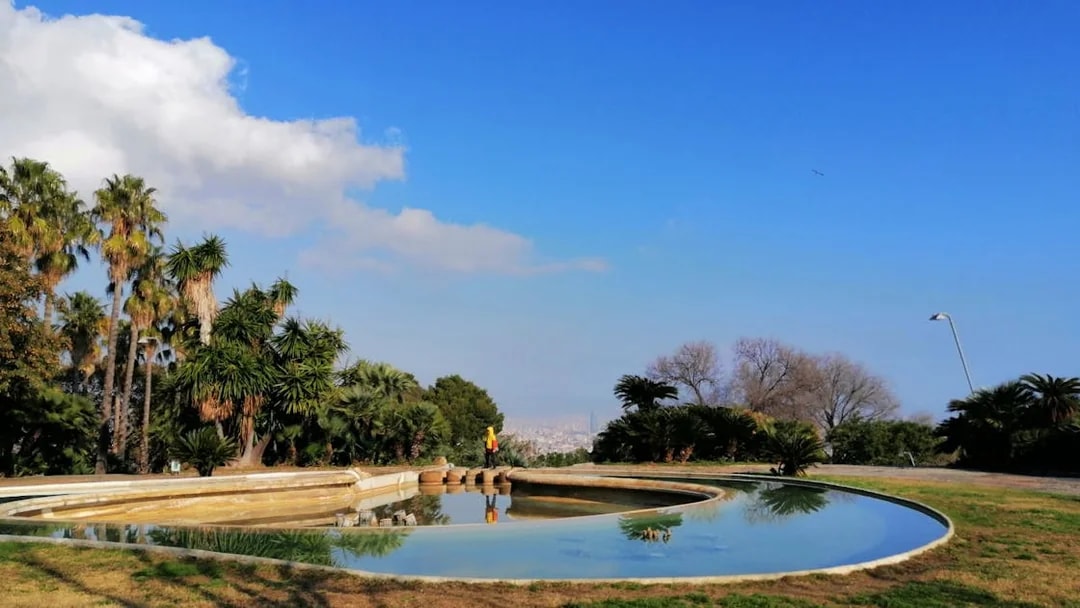 Montjuïc park with palm trees and a reflective pond on a guided walking tour in Barcelona.